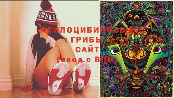 марки lsd Михайлов