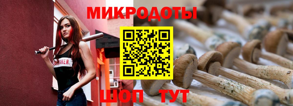Заринск  Псилоцибиновые грибы MAGIC MUSHROOMS  Вход с VPN 